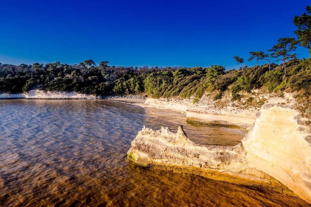 Entre Plage Et Foret - Agreable T3 Saint-Georges-de-Didonne Dış mekan fotoğraf